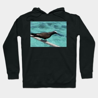 Gorgeous Ocean Bird Hoodie